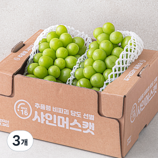 한반도 비파괴 당도선별 샤인머스캣, 1.5kg, 3개