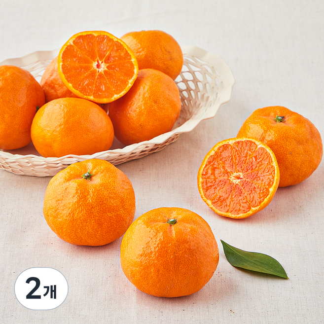 곰곰 당도선별 12brix 카라향, 1.2kg, 2개