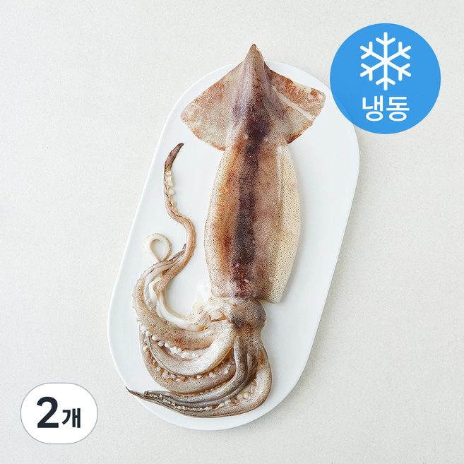 오바다 원양산 통오징어 (냉동), 2개, 300g(왕특)