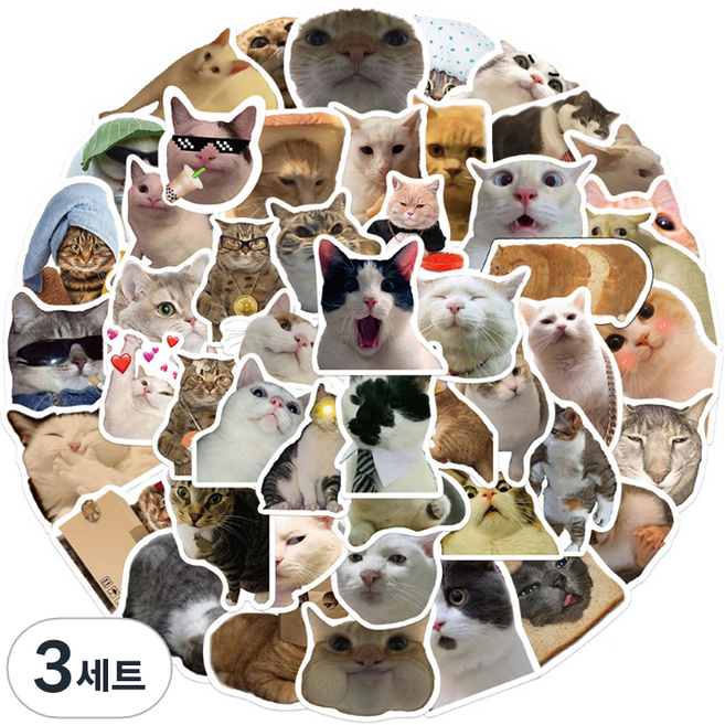 노트북 캐리어 여행 귀여운 고양이 스티커 세트, 미야오 월드, 3세트