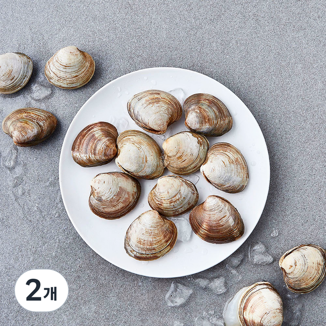 곰곰 백합조개 (냉장), 2개, 500g