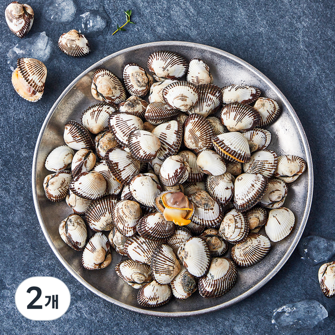 아라보감 산지직송 생물 새꼬막 (냉장), 2개, 1kg