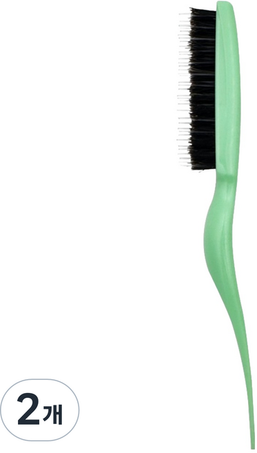 티나뷰티 유스풀 티징 브러쉬 잔머리 정리 돈모, 2개, 민트 그린