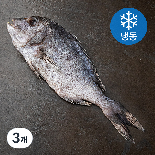 아라보감 맛 좋기로 소문난 남해 미조 반건조 찜용 제수용 참돔 (냉동), 500~700g, 3개