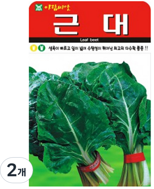 아람종묘 청근대 씨앗 500p, 2개