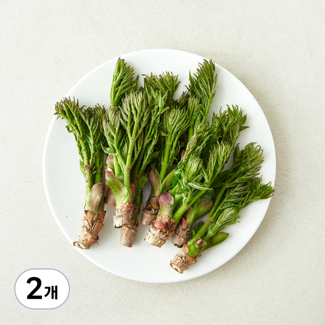 국내산 참두릅, 2개, 100g