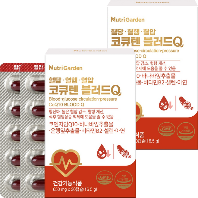뉴트리가든 코큐텐 블러드Q 16.5g, 2개, 30정