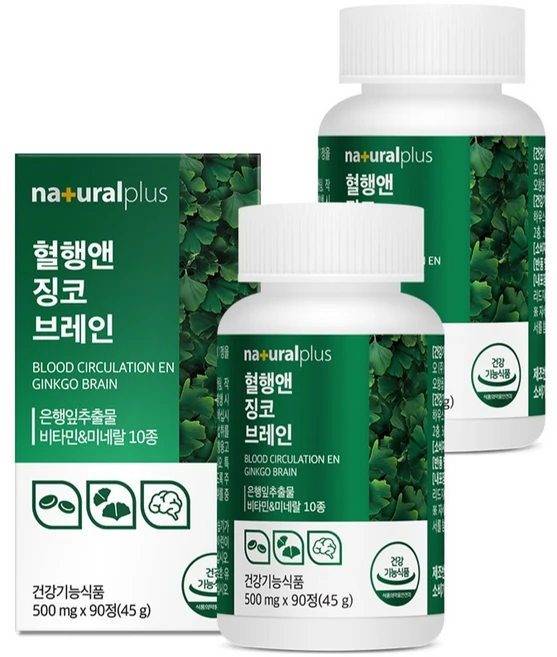 내츄럴플러스 혈행엔 징코 브레인 45g, 90정, 2개 - 쿠팡
