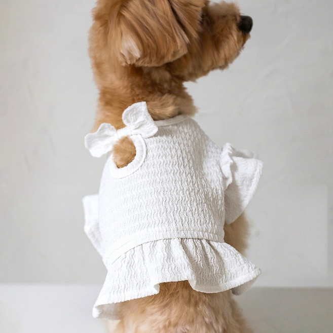 펫츠랜드 반려동물 데이지 프릴 탑, 퓨어 화이트, 1개