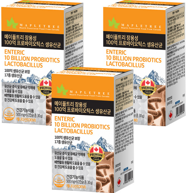 메이플트리 장용성 100억 프로바이오틱스 생유산균, 60정, 3개