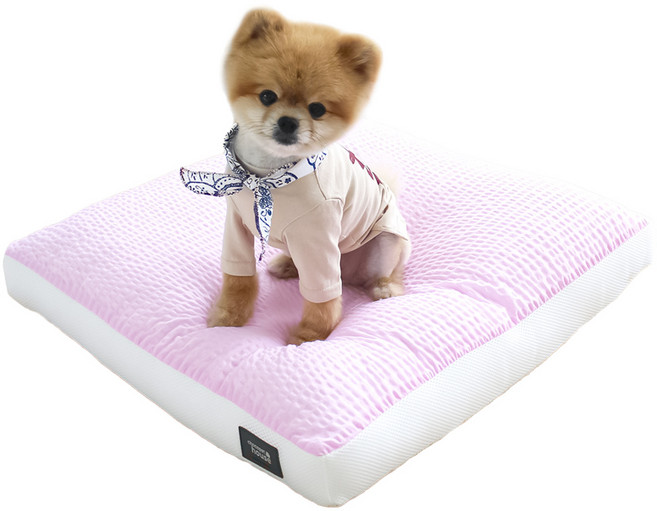 초코펫하우스 아이스 와플 강아지 방석, 핑크, 1개