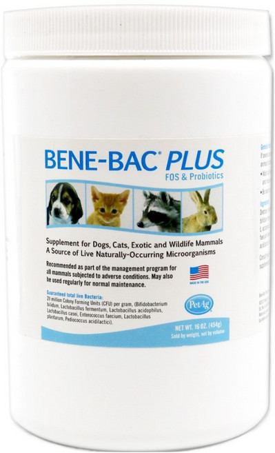 비니백 반려동물 플러스 영양제, 454g, 장건강/유산균, 1개