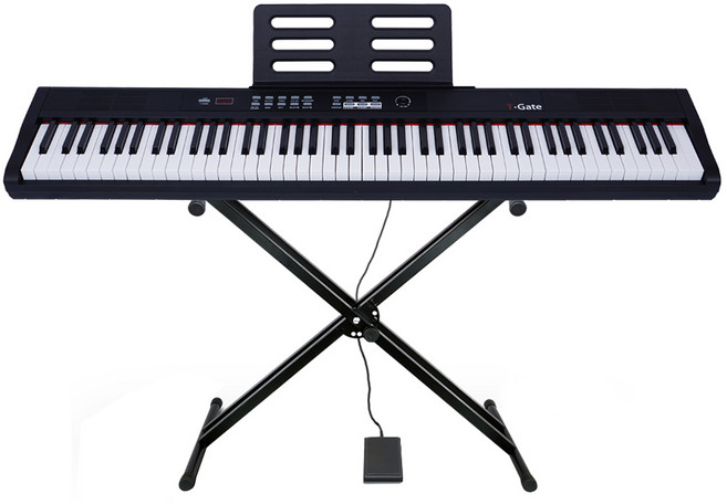 토이게이트 파울루스 88건반 해머스타일 디지털피아노 + 스탠드 세트, 블랙, 1개