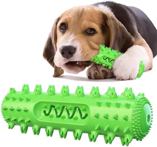 써티이얼즈 강아지 삑삑이 셀프칫솔 장난감, 그린, 1개 - 쿠팡