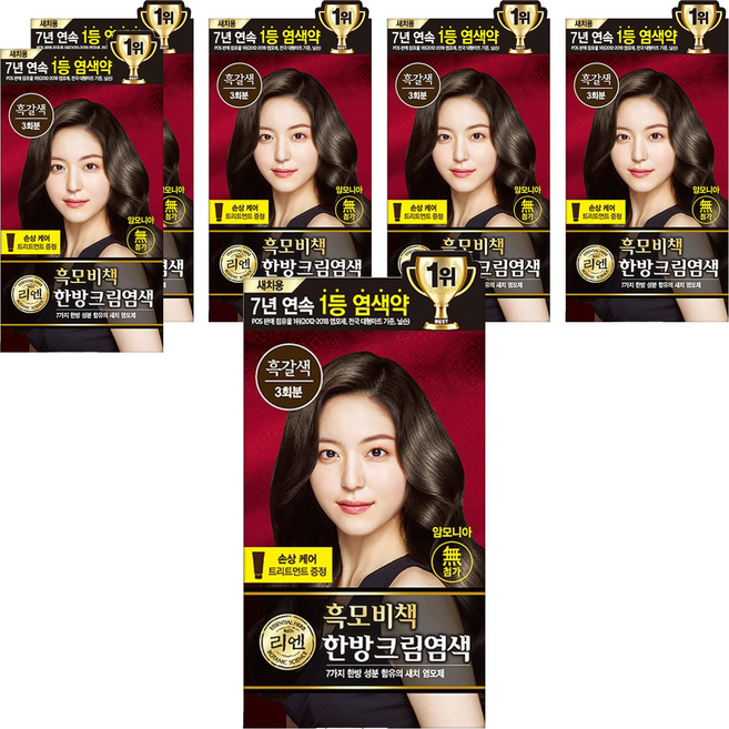리엔 흑모비책 새치염색크림 한방염모제, 흑갈색, 6개
