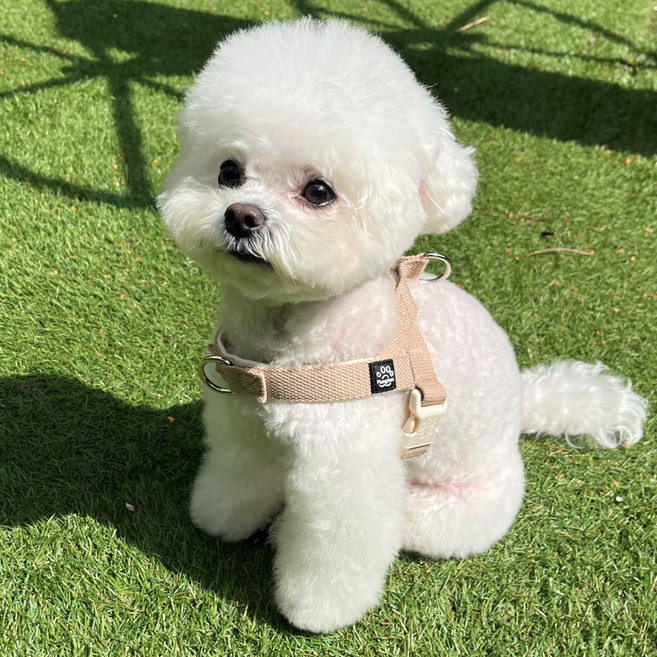 멍템 강아지 앞섬방지 팔레트 하네스, 파스텔 베이지, 1개