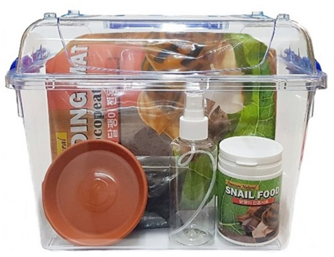 벅스킹덤 프리미엄 달팽이 클린 사육세트, 혼합색상, 1세트