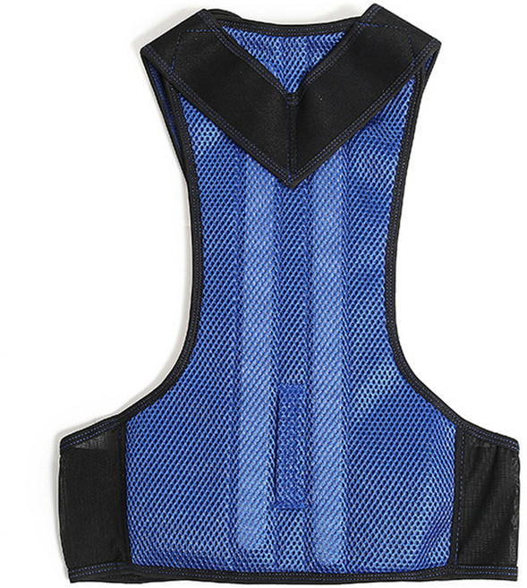 힐리오 성인 자세 02 블루, 1개