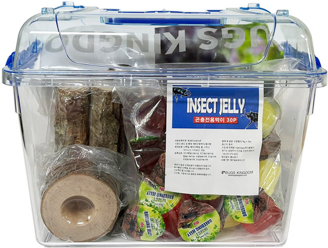 벅스킹덤 사슴벌레 클린 사육세트, 혼합색상, 1개