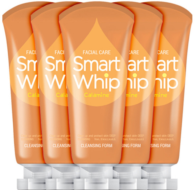 과일나라 페이셜케어 스마트휩 콜라겐 클렌징폼, 225ml, 5개