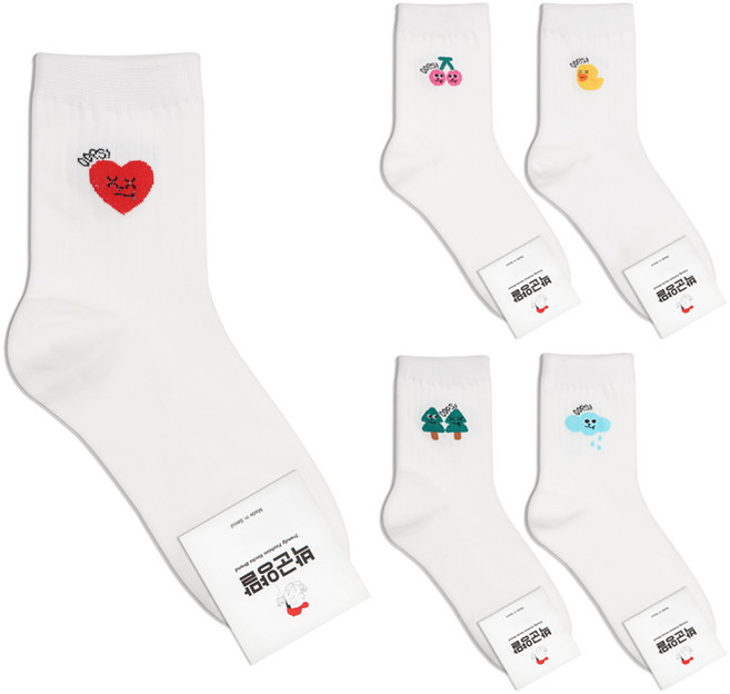 박군 여성용 웁스골지 5족 양말세트