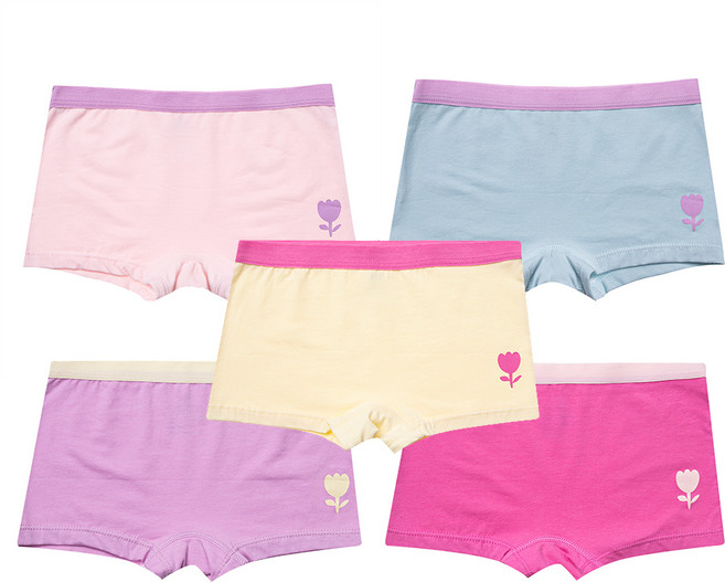 베이스알파에센셜 여아용 컬러 배색 드로즈 5종 세트