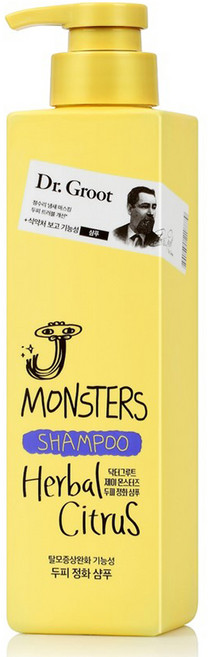 닥터그루트 리엔 제이 몬스터즈 두피 정화 샴푸 허벌 시트러스향, 385ml, 1개