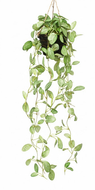 JOART 仿真吊籃藤蔓, 1個, 網紋草