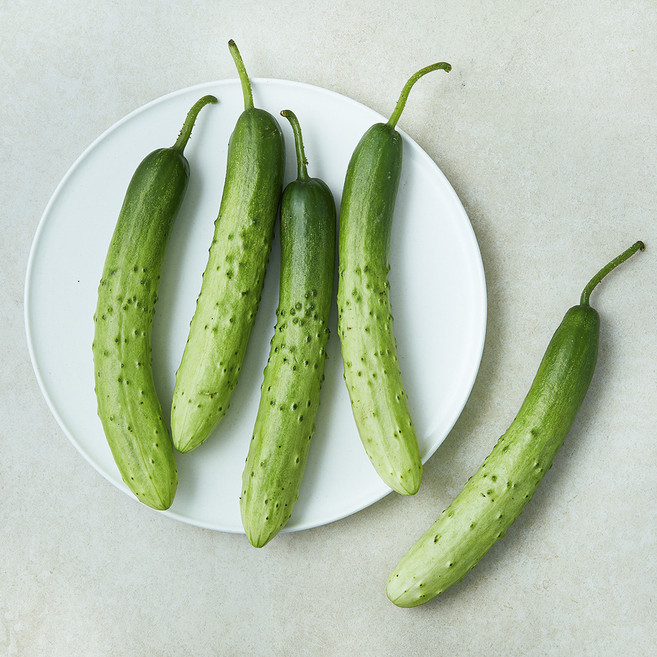 작아도 맛있는 흑침오이, 100g, 1개, 5개입