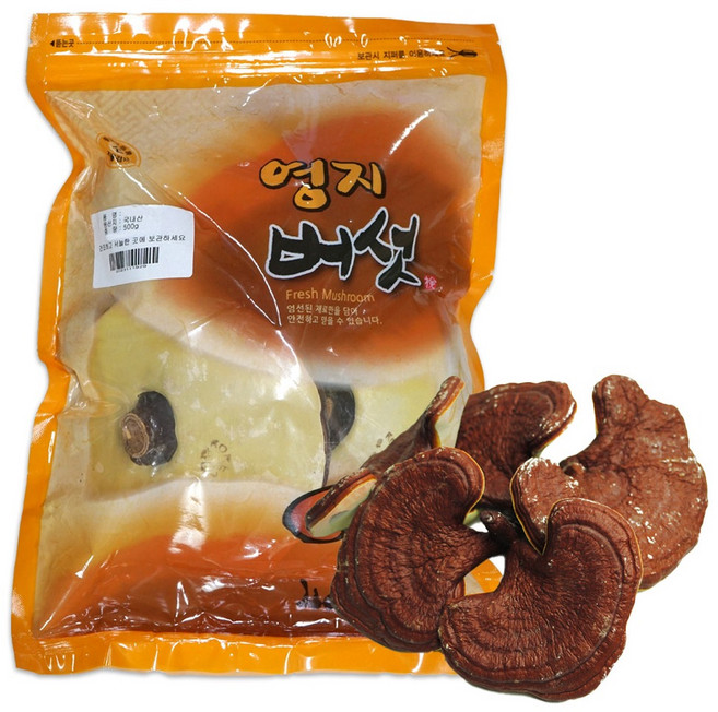 동광한방몰 국내산 통 영지버섯, 500g, 1개