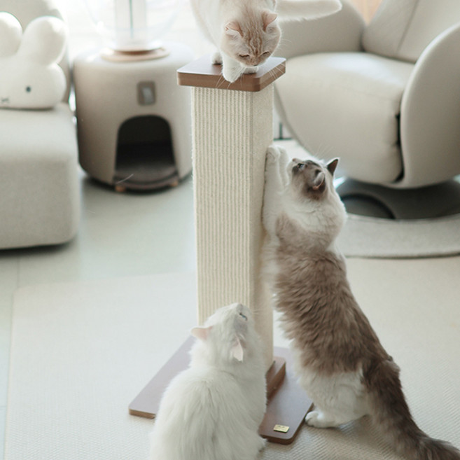 아토주 고양이 파우제 수직 스크래쳐, 아이보리, 1개