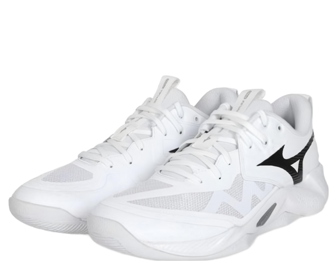 Mizuno 美津濃 男款 運動鞋 V1GA254051