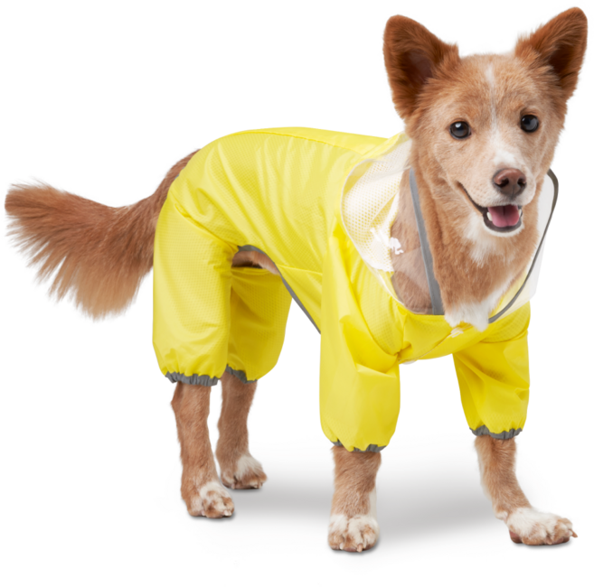 멍뭉스 반려동물 라이트 올인원 우비, 옐로우, 1개