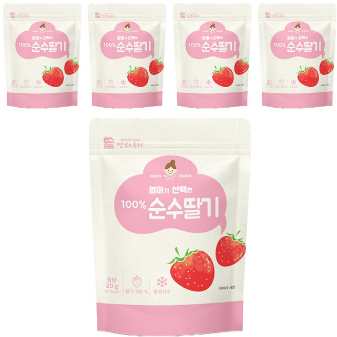맛있는풍경 엄마가 선택한 순수딸기, 20g, 5개