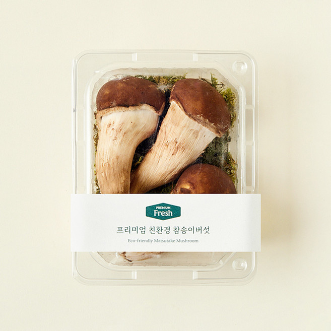 프리미엄 친환경 참송이버섯, 100g, 1개