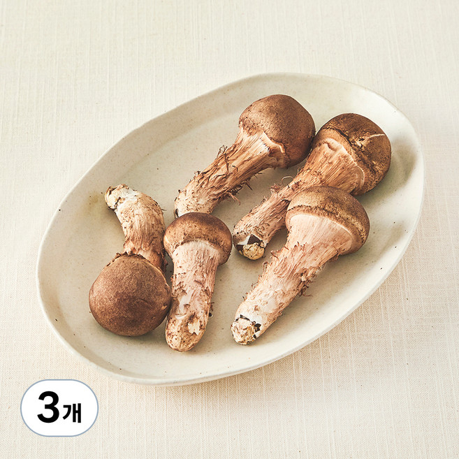 국내산 친환경 참송이버섯, 100g, 3개