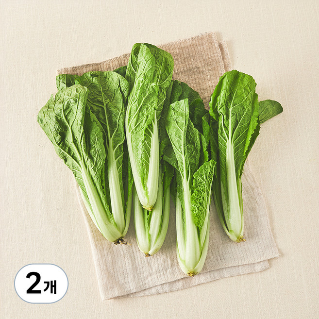 친환경 얼갈이, 300g, 2개, 300g