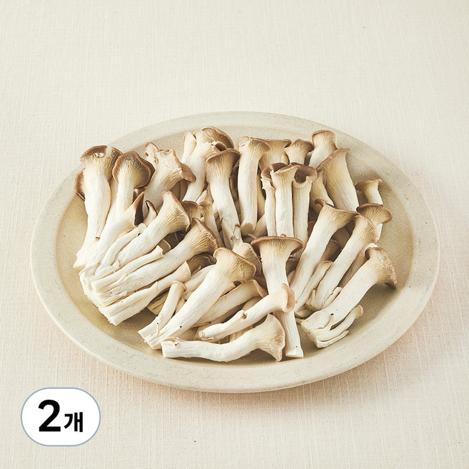 국내산 친환경 고기느타리버섯, 300g, 2개