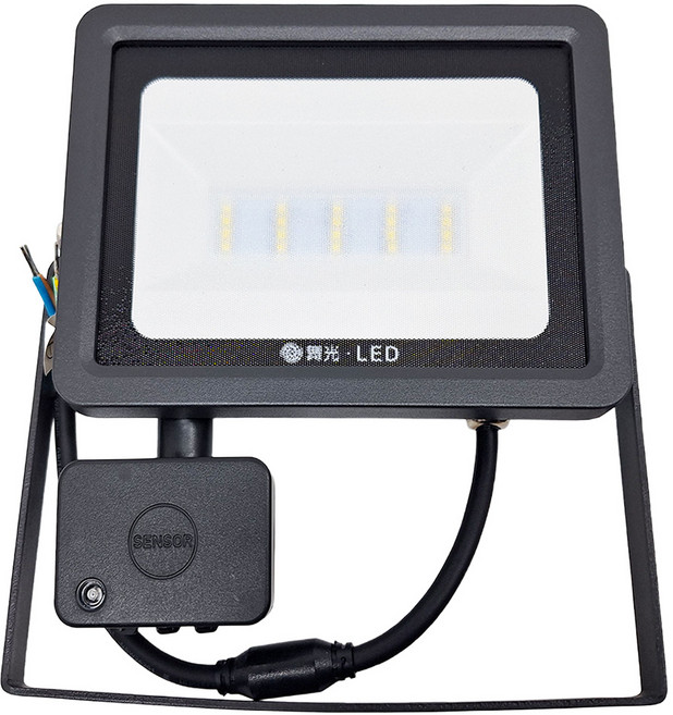 DANCELIGHT 舞光 微波感應投光燈 LED 20W OD-SEFL20D 白光6500K, 1個