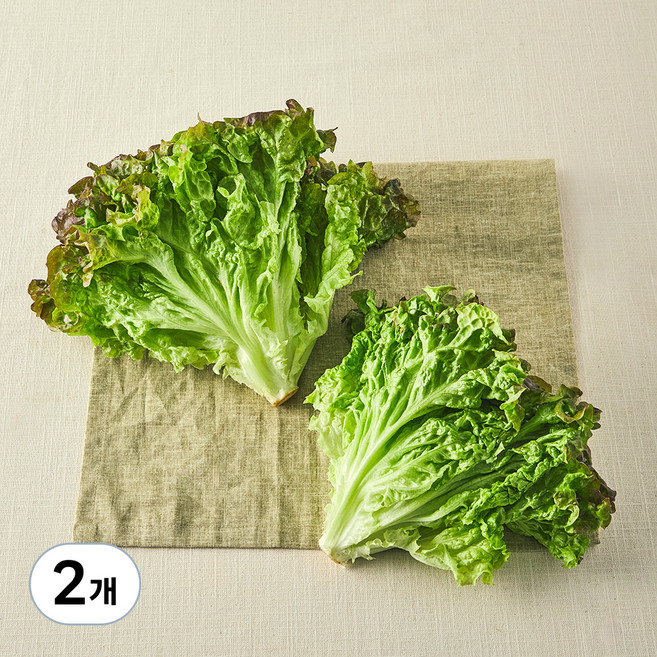 친환경 포기상추, 250g, 2개