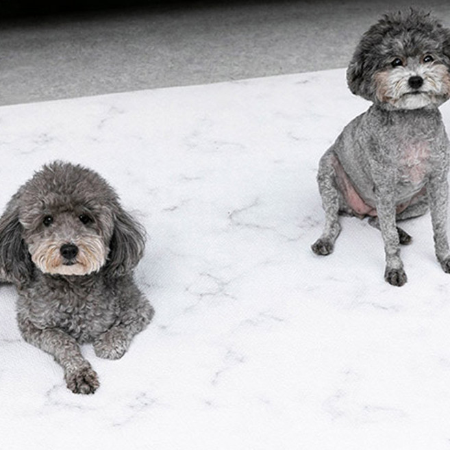 딩동펫 반려동물 미끄럼방지 롤매트, 화이트 마블, 1개