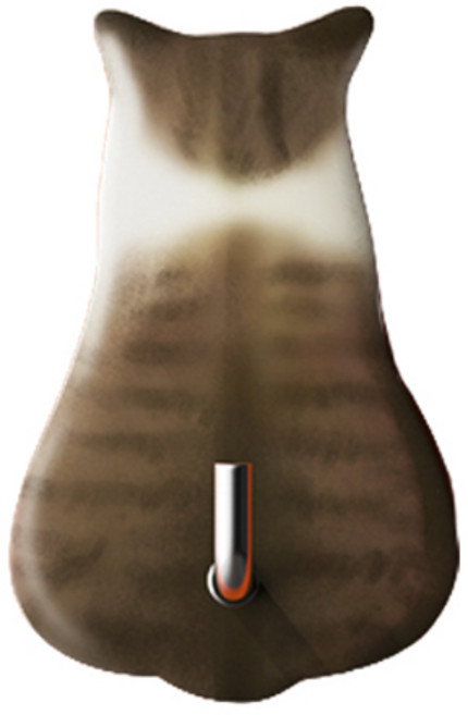 고양이 다목적 후크 걸이, 브라우니, 1개