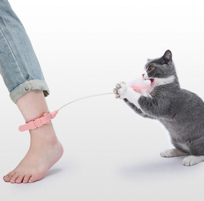 옥희독희 와인드링 고양이 장난감 낚시대, 핑크, 1개