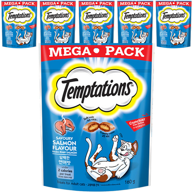 템테이션 고양이 클래식 메가팩 스낵, 담백한 연어맛, 160g, 6개