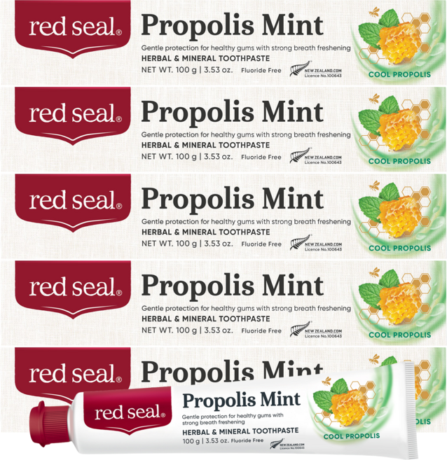 레드씰 프로폴리스 민트 치약, 100g, 5개