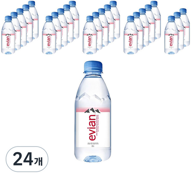 에비앙 천연광천수 생수, 330ml, 24개