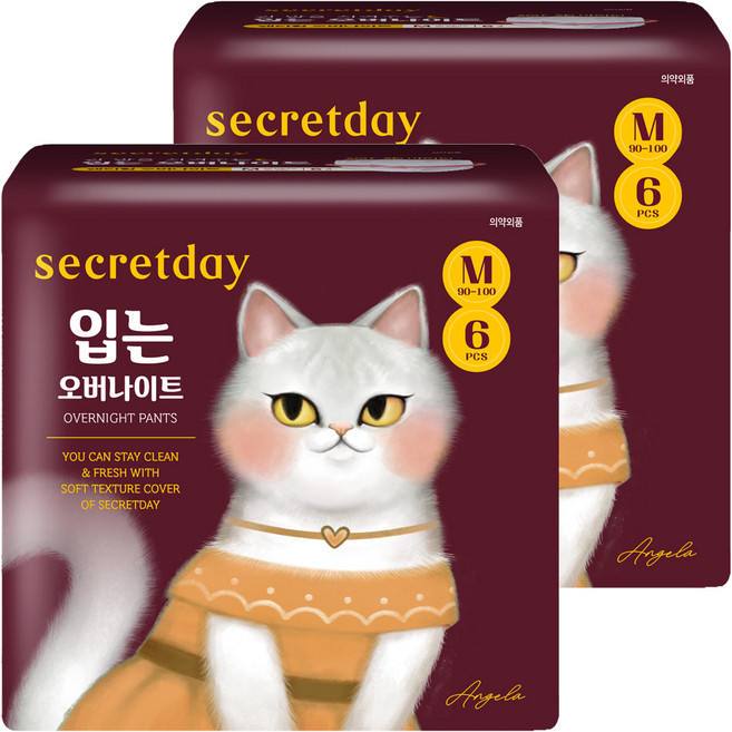 시크릿데이 입는 오버나이트, 중형, 6개입, 2개