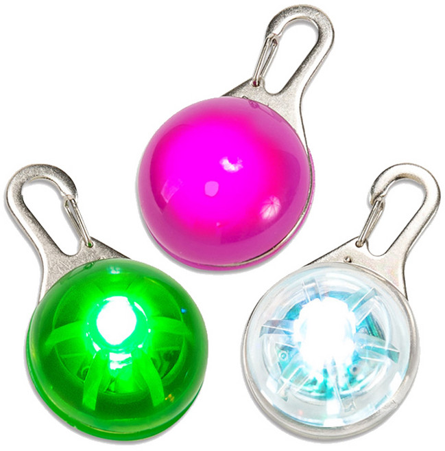 딩동펫 반려견 LED 라이트 인식표 클립형, 핑크 + 그린 + 투명, 1세트