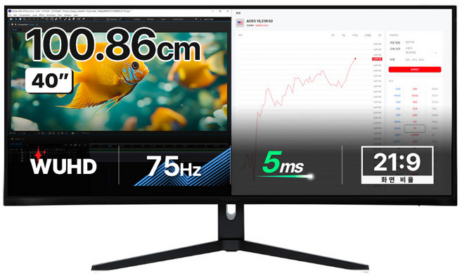 인터픽셀 5K WUHD NANO IPS 75Hz 높이조절 모니터, 100.859cm, IPU4010(일반)