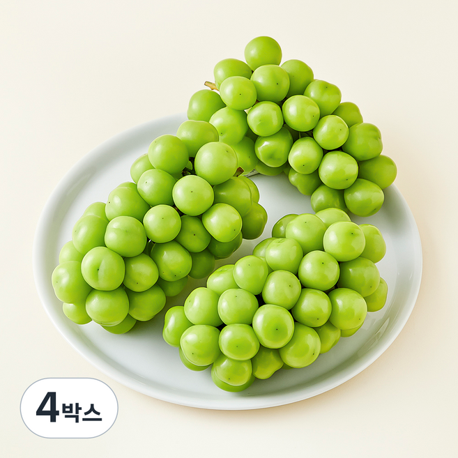 중화농협 상주 고당도 샤인머스캣, 1.5kg, 4박스